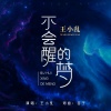 王小乱 - 不会醒的梦