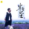 老范儿 - 半生已过 (卡点节奏版)