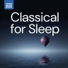 Jeffrey McFadden - Cello Suite No. 4 in E-Flat Major, BWV 1010 (Arr. J. McFadden for Guitar) : IV. Sarabande
