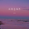 蒋蕙林 - 寂寞夜相思