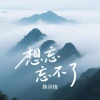 韩诗愔 - 想忘忘不了