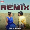 DJ Amit Saxena、Ankit Matani - Guvva Gorinkatho Remix (From 