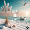 Igor Pumphonia - What Do I See