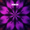 Brainwave Music、Future Sky、Classical New Age Piano Music - Wings Through Still Water