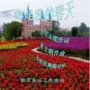 张士娟、肖明发、圈圈 - 男女声对唱你是我的春天