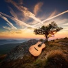 The Latin Magic Guitars、Great Guitar Music、Guitar Sounds of Hawaii - Soft Glow at the End of the Day