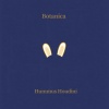 Botanica - Hummus Houdini