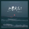 阎其儿Jill - 如果爱忘了