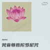 禅音净心 - 梵音尊胜陀罗尼咒