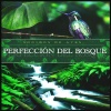 Sonidos De Aves - Rest Resting