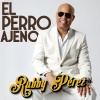 Rubby Perez - El Perro Ajeno