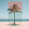 Alessandro Penna、Davide Nigro - Salt Mirage