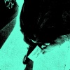 fenie - stalk (smokefusion)(Explicit)