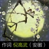 柴永旺旺、圈圈 - 佳话/倪高武