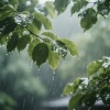 放松睡眠音乐 - 雨声深度放松助眠曲