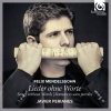 Javier Perianes - Andante con variazioni, Op. 82, MWV U158
