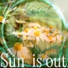 Kremtones - sun is out