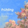nicanor zabaleta、English Chamber Orchestra、Luis Antonio Garcia Navarro - J.S. Bach: Concerto in F major, BWV 978 (from Vivaldi RV 310) - Arr. for harp and orchestra by N.Zabaleta: 1. Allegro