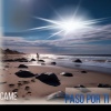 Came - Paso por ti