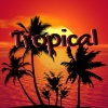 Layzerd - Tropical