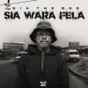 Sia_TheBee、Dimphowadiwave - Ma 2000