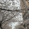 104 - Seasons