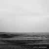 Lusrica - Charade