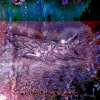 Gursten、Level 67、Sensan - Slippery Skin