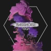 BassNoise - High