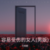 王恒毅 - 容易受伤的女人