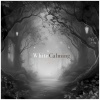 Delicatessen Noise - WHITE CALMING