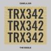 Camila Jun - The Giggle