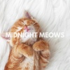 Cat Music - Midnight Meows