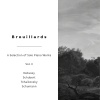 Pierre-Laurent Aimard - Debussy: Préludes - Book 2, L.123: 1. Brouillards