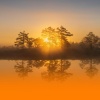 Massage Tribe - Relaxing Background Music With Gentle Piano And Nature Sounds For Spa And Wellness Treatment