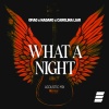 OMAO、NADARO、Carolina Liar - What a Night (Acoustic Mix)