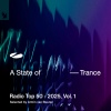 Armin van Buuren、Punctual、Evalina - Angels