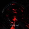 Echolocation - Economy Crash