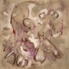 Vulture - Cariad