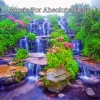 Sleepy Night Music、Music For Absolute Sleep、SleepTherapy - Deep Sleep Absolute Calm