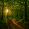 Baltic Nature Sounds、Natural Sounds、Sleep Music Lullabies - REM Map