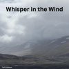 Torfi  Olafsson - Whipser in the wind