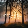 Sam Davies - My Decent Into Madness