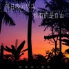 烤烤蒜、番番 - 落日晚风尽头 你有的是自由