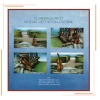 Guarneri Quartet、Wolfgang Amadeus Mozart - Serenade in G Major, K.525 