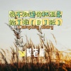 莫老师 - 我不知道你把温柔给了谁 (DJ版)