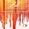 Lucas Debargue、gidon kremer、milosz magin - Andante pour violon et piano