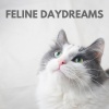 Cat Music - Feline Daydreams