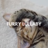 Cat Music - Furry Lullaby