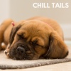Music for Leaving Dogs Home Alone - Chill Tails